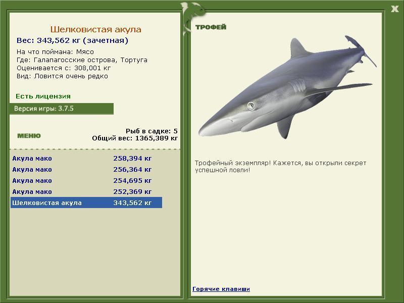 Шелковистая акула 