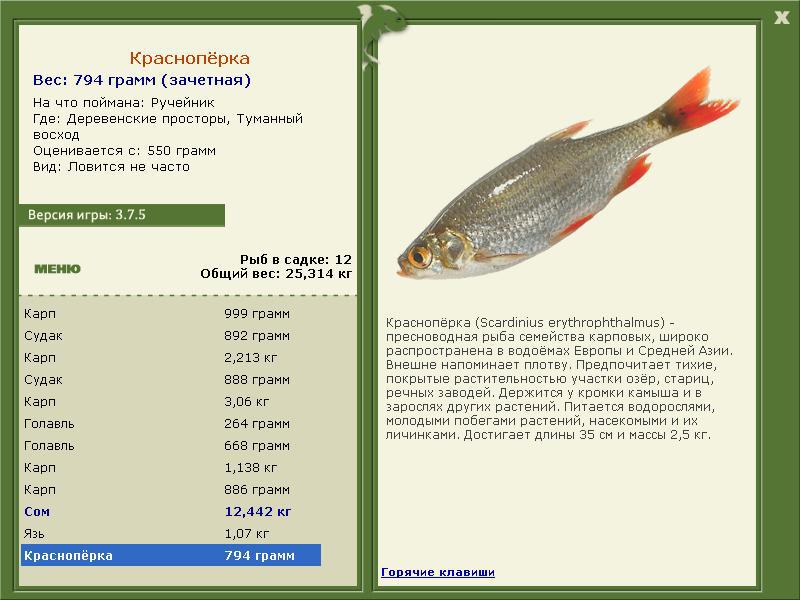 Деревенские просторы 