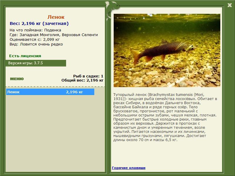 Верховья Селенги 