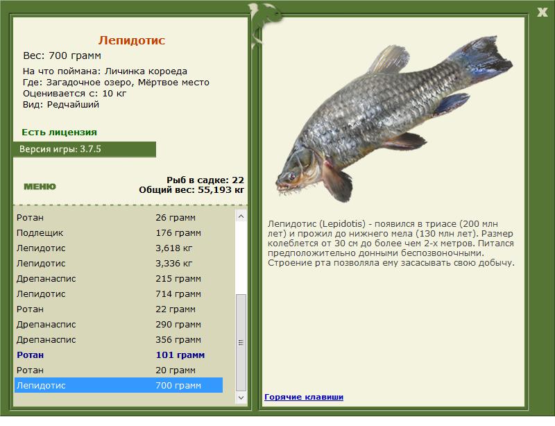 турниры • РУССКАЯ РЫБАЛКА