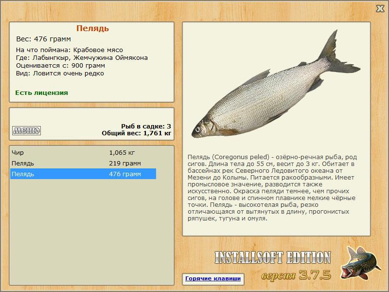 Жемчужина Оймякона 