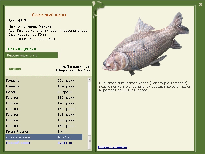 РУССКАЯ РЫБАЛКА Installsoft Edition 