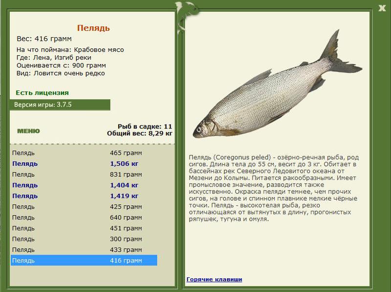 РУССКАЯ РЫБАЛКА Installsoft Edition 