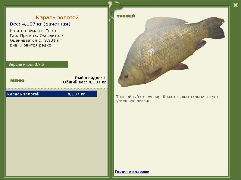 Охладитель 