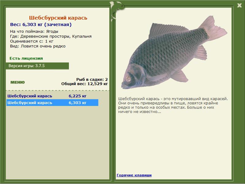 Шебсбурский карась 