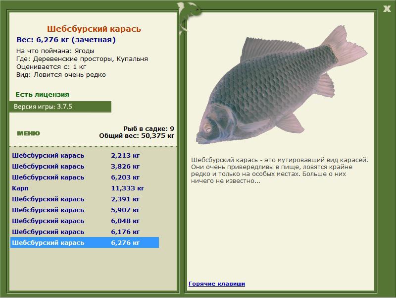 Шебсбурский карась 