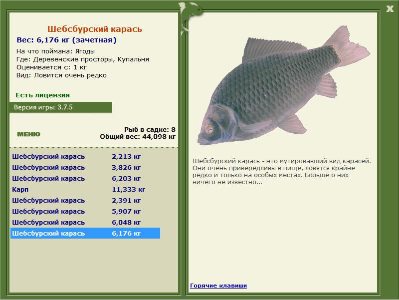 Шебсбурский карась 