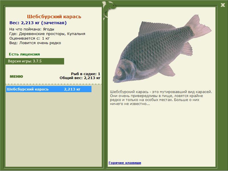 Шебсбурский карась 