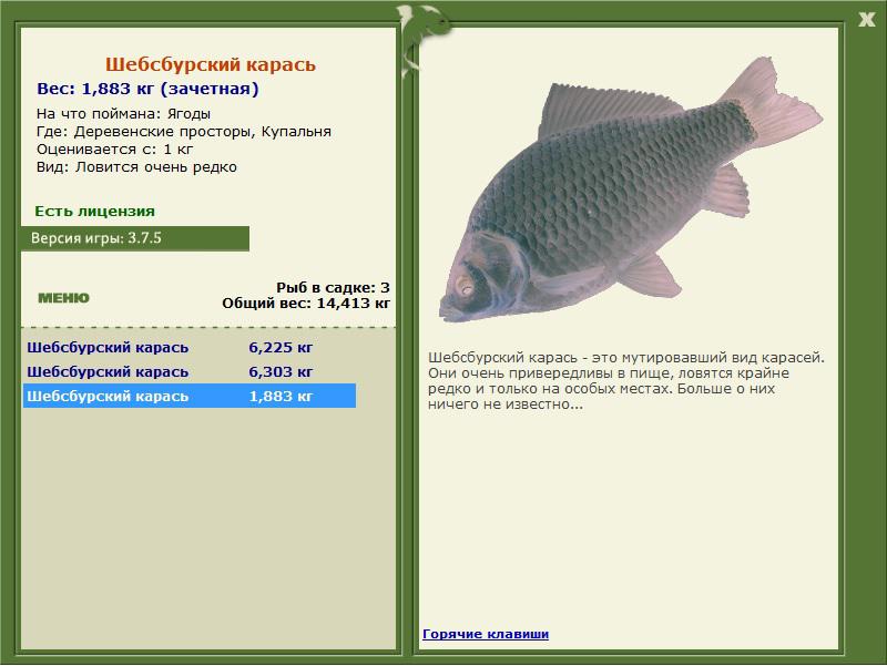 Шебсбурский карась 