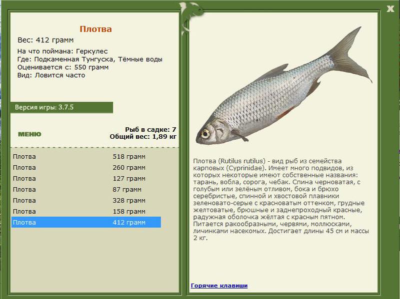 РУССКАЯ РЫБАЛКА Installsoft Edition 