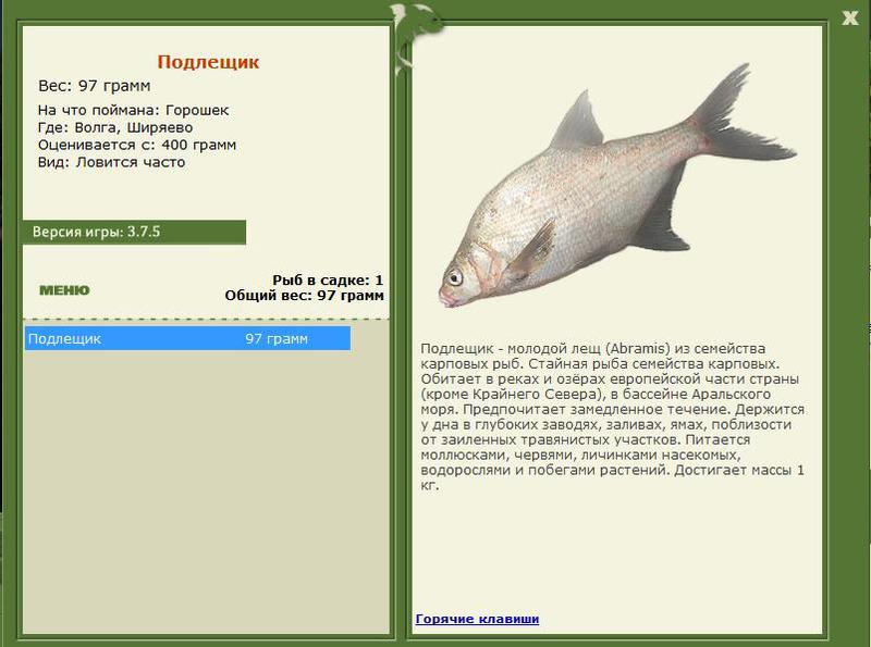 РУССКАЯ РЫБАЛКА Installsoft Edition 