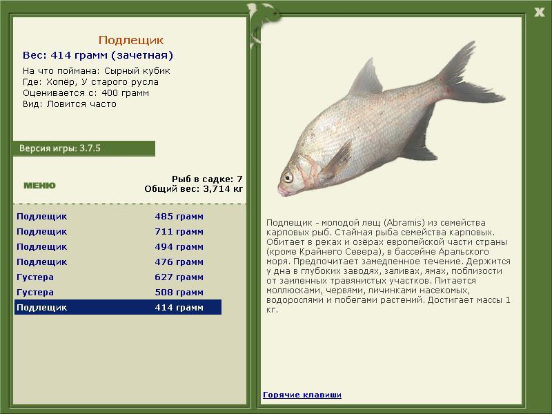 У старого русла 