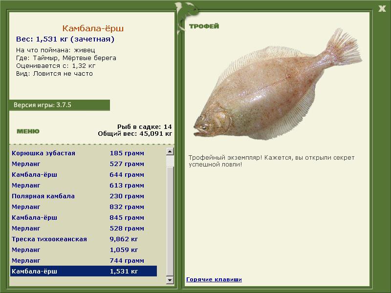 Мёртвые берега 