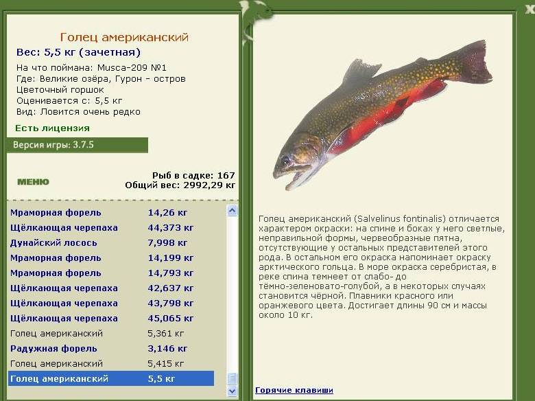 турниры • РУССКАЯ РЫБАЛКА