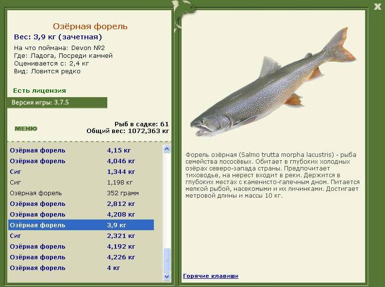 турниры • РУССКАЯ РЫБАЛКА