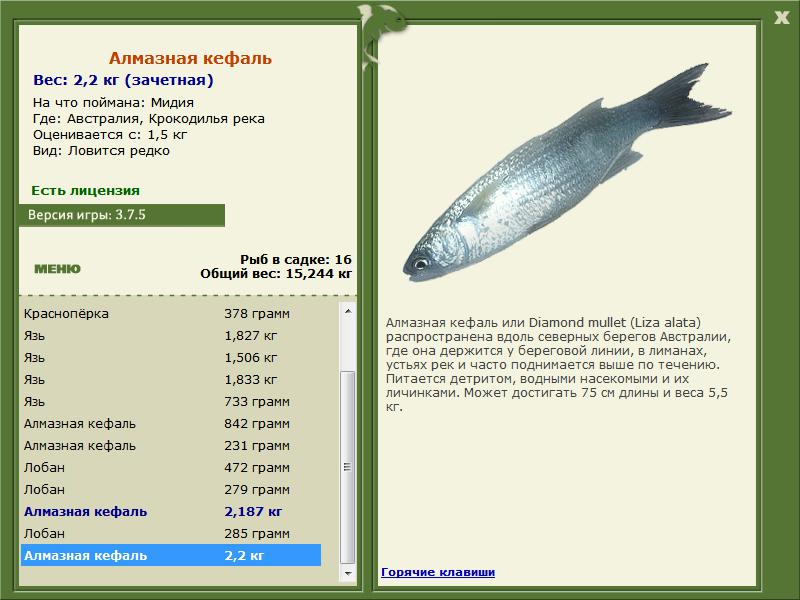 РУССКАЯ РЫБАЛКА Installsoft Edition 