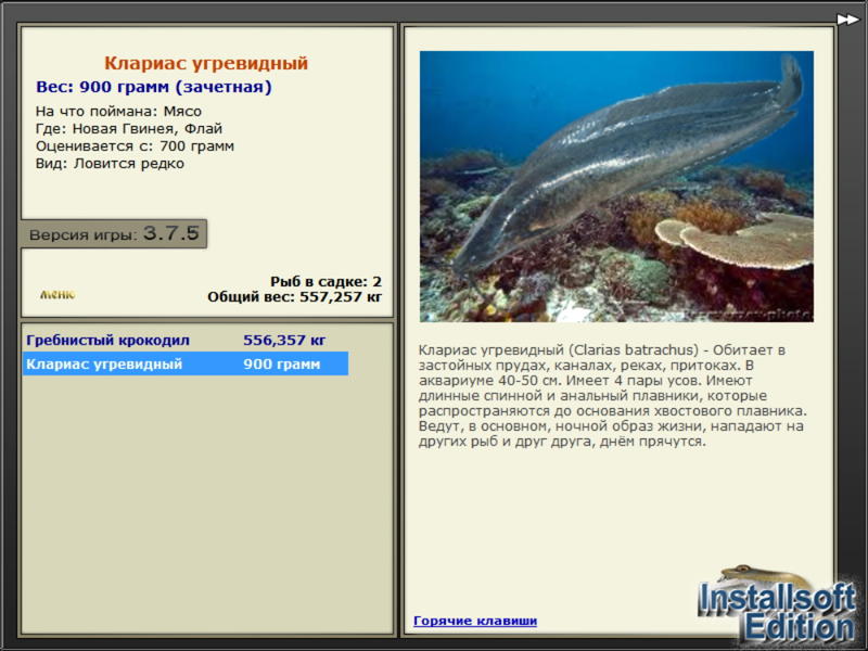 турниры • РУССКАЯ РЫБАЛКА
