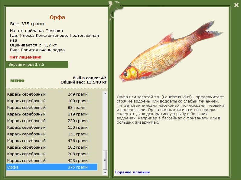 Подтопленная ива 