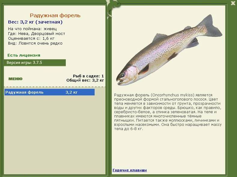 турниры • РУССКАЯ РЫБАЛКА