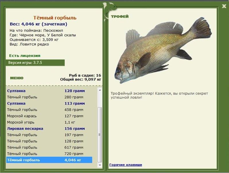РУССКАЯ РЫБАЛКА Installsoft Edition 