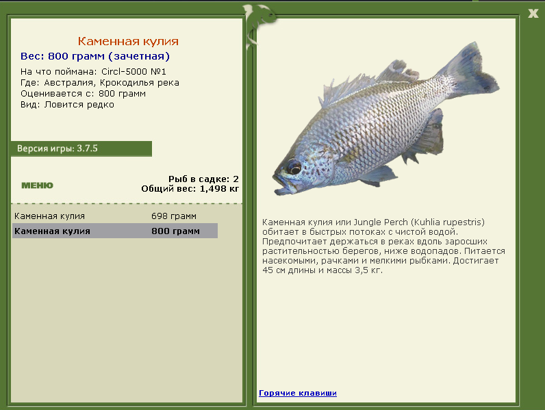 турниры • РУССКАЯ РЫБАЛКА
