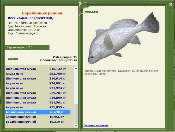 Барабанщик речной 