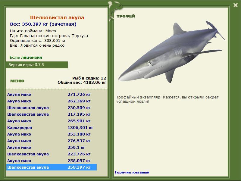 Шелковистая акула 