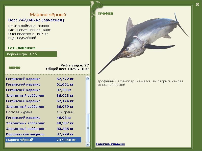Марлин чёрный 