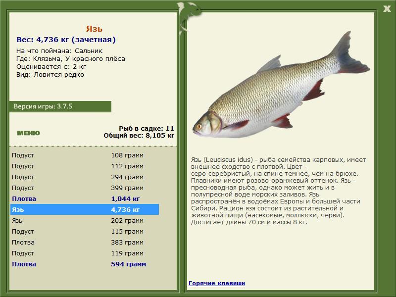 РУССКАЯ РЫБАЛКА Installsoft Edition 