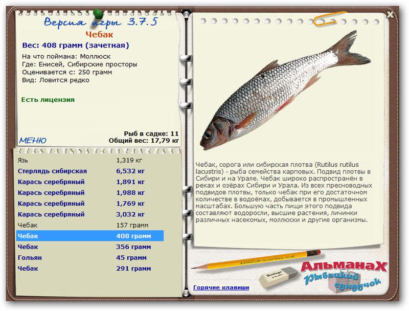 Енисей 