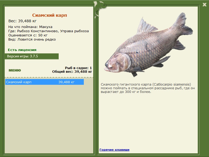 РУССКАЯ РЫБАЛКА Installsoft Edition 