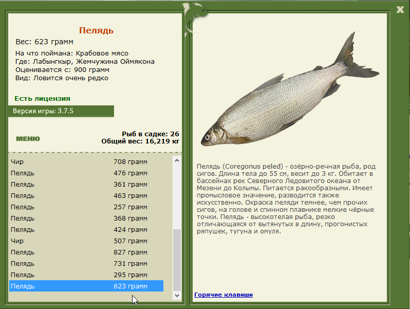 Жемчужина Оймякона 