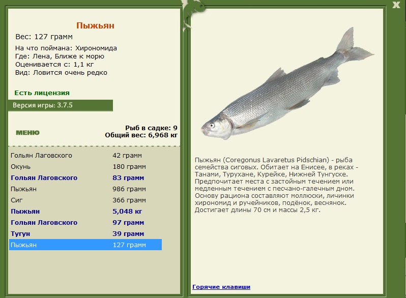 Ближе к морю 