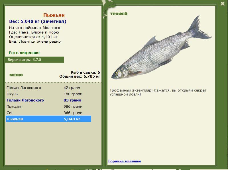Ближе к морю 