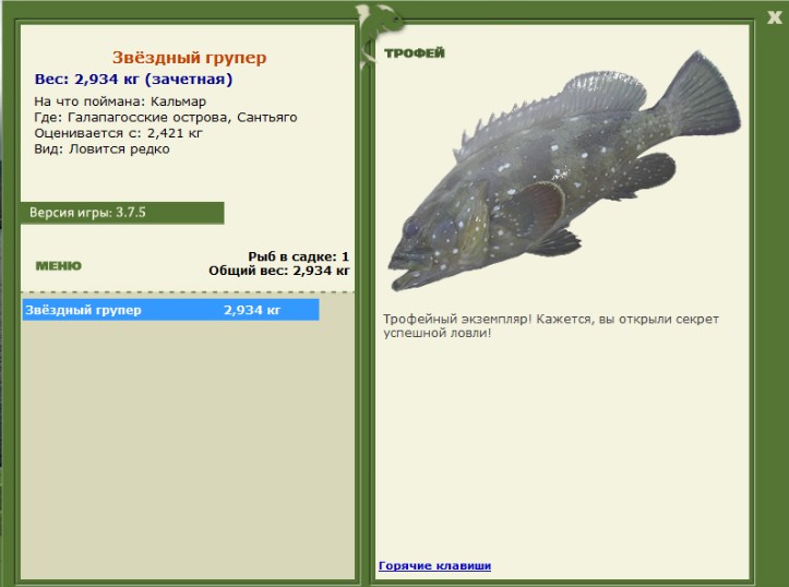 Звёздный групер 