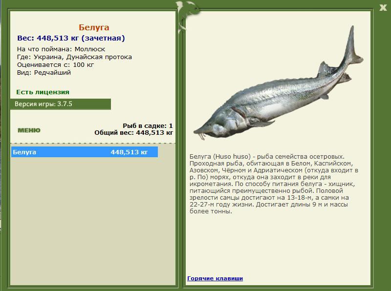 РУССКАЯ РЫБАЛКА Installsoft Edition 