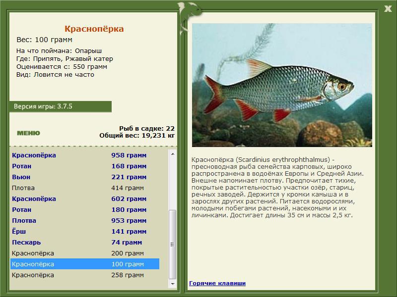 турниры • РУССКАЯ РЫБАЛКА
