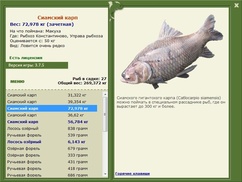 РУССКАЯ РЫБАЛКА Installsoft Edition 