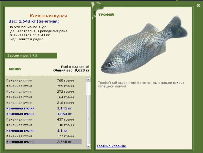 Каменная кулия 