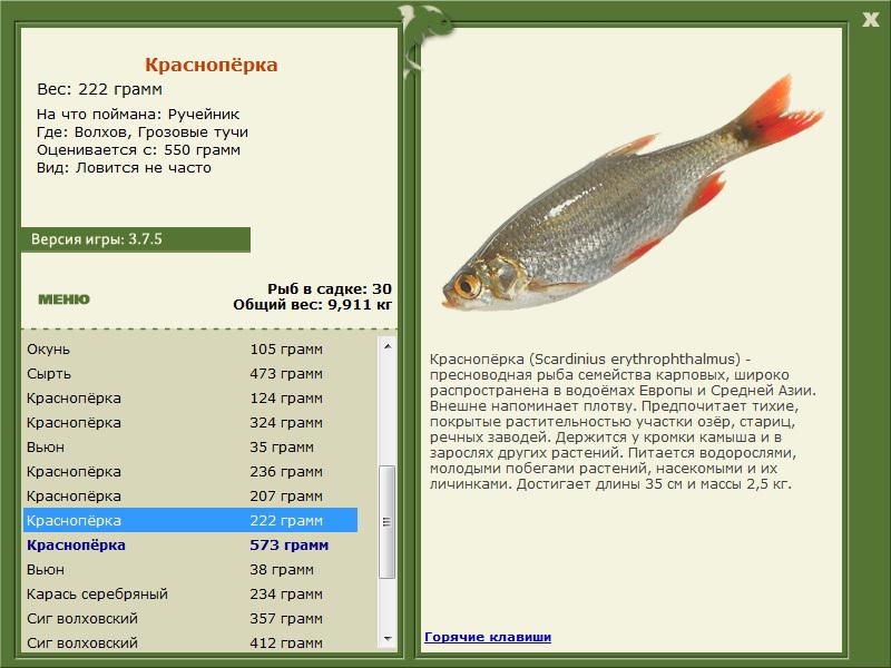 РУССКАЯ РЫБАЛКА Installsoft Edition 