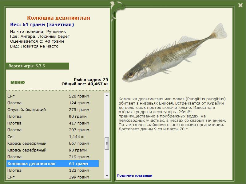 РУССКАЯ РЫБАЛКА Installsoft Edition 