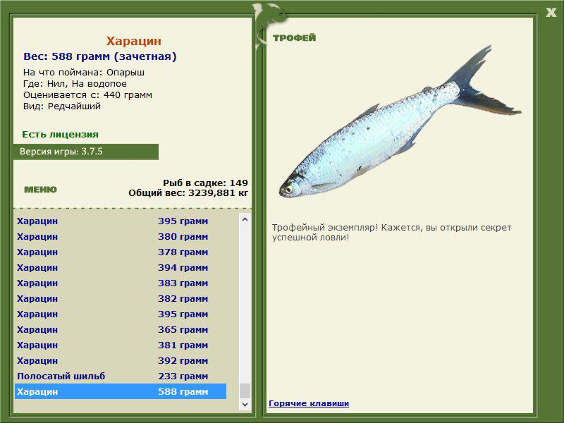 Харацин 