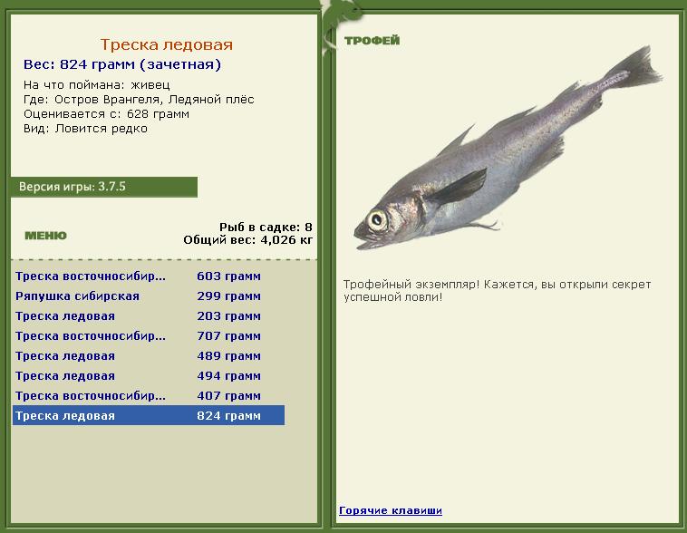  Максимальный Вес • Praise-турниры • РУССКАЯ РЫБАЛКА