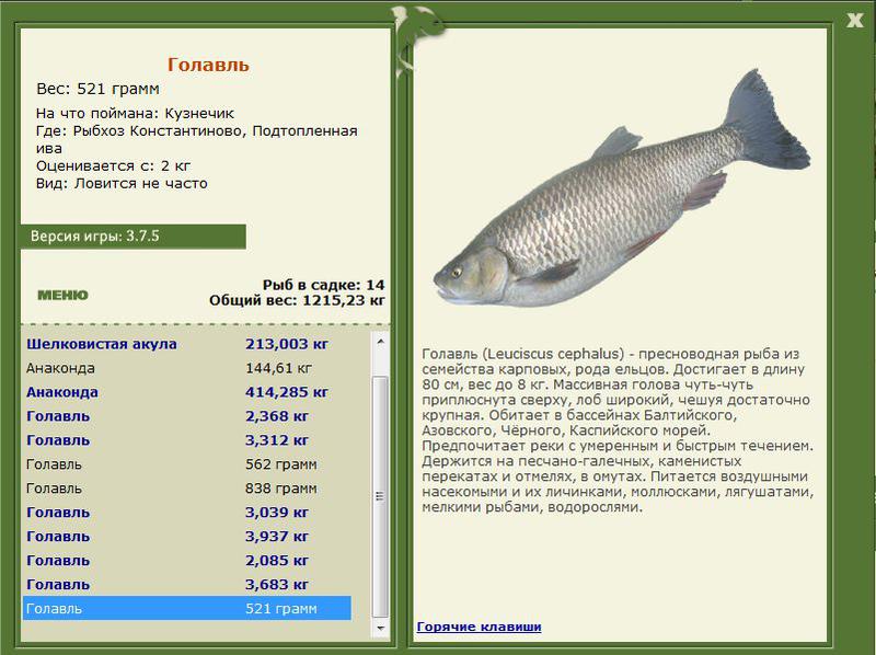 РУССКАЯ РЫБАЛКА Installsoft Edition 