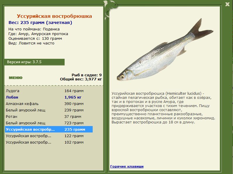 РУССКАЯ РЫБАЛКА Installsoft Edition 