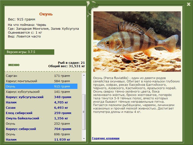 Залив Хубсугула 