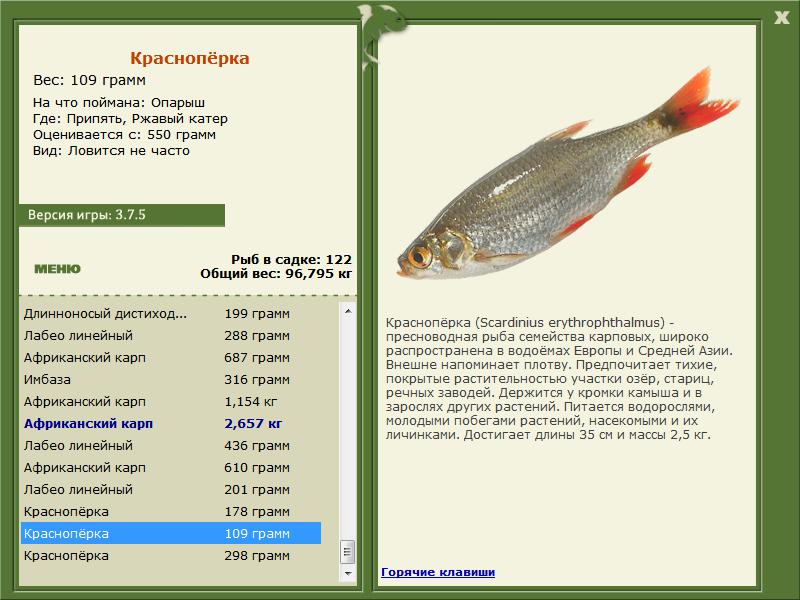 РУССКАЯ РЫБАЛКА Installsoft Edition 