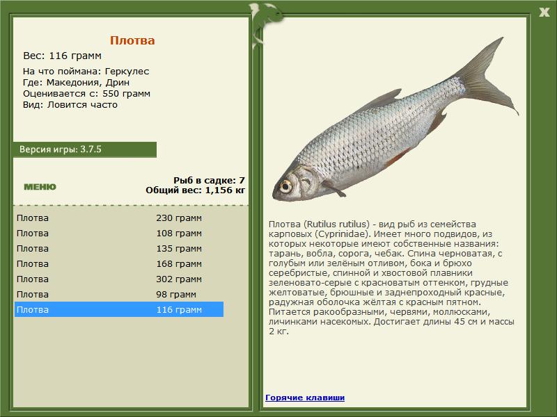 РУССКАЯ РЫБАЛКА Installsoft Edition 