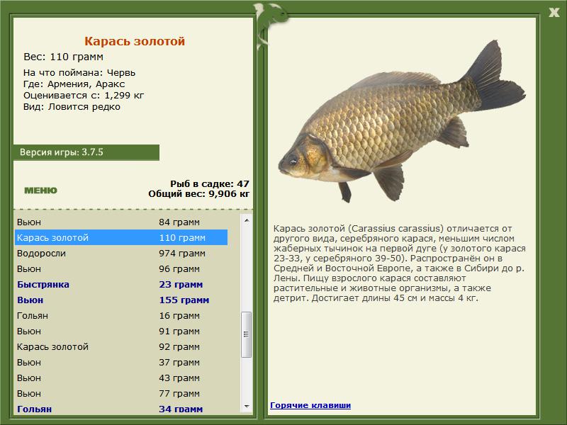 РУССКАЯ РЫБАЛКА Installsoft Edition 