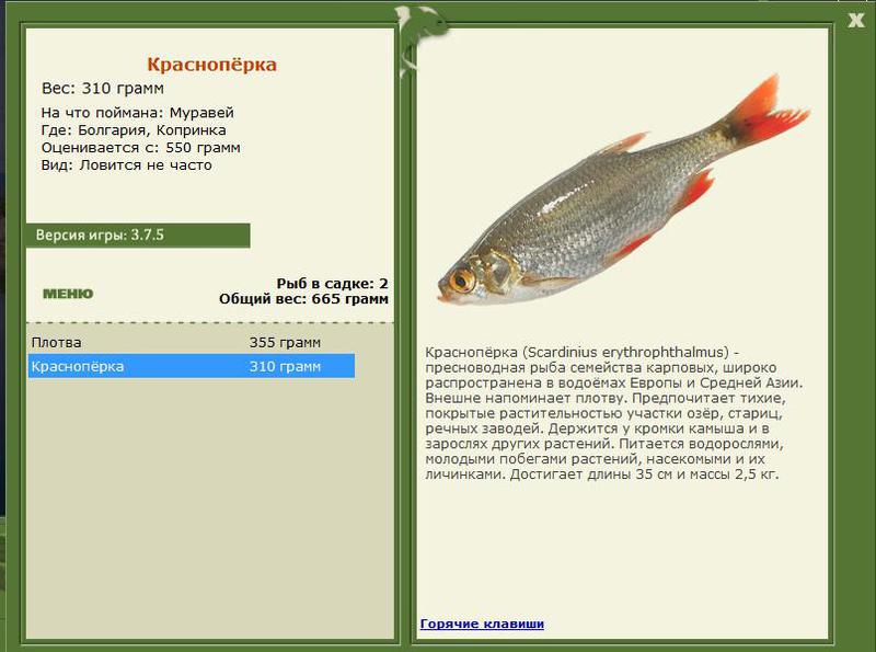 РУССКАЯ РЫБАЛКА Installsoft Edition 